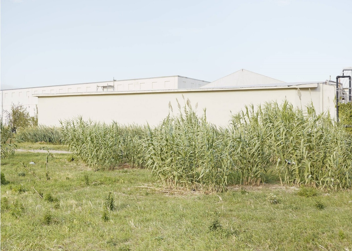 Verde Prato. Sperimentazioni urbane tra ecologia e riuso